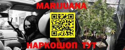 индика Ирбит