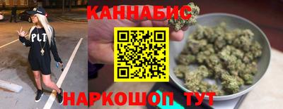 индика Ирбит