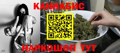 индика Ирбит