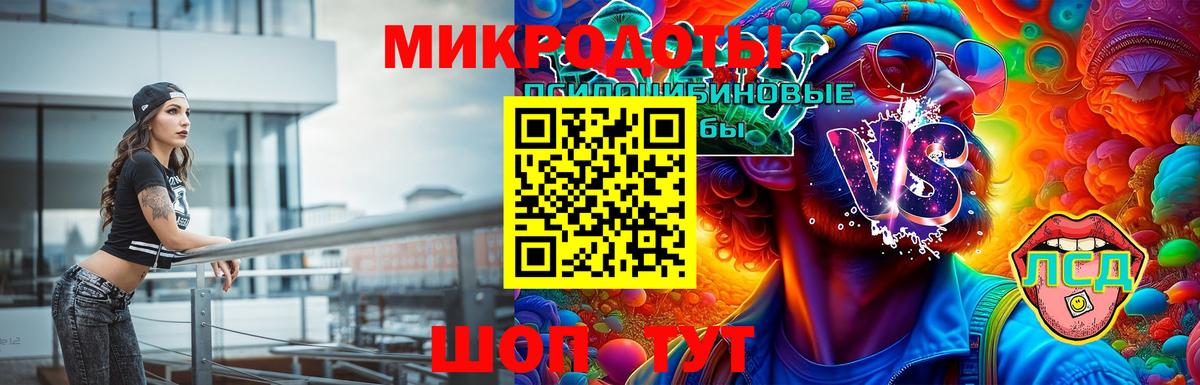 Псилоцибиновые грибы Cubensis  Вход с VPN  Ростов-на-Дону  Галлюциногенные грибы Psilocybine cubensis 